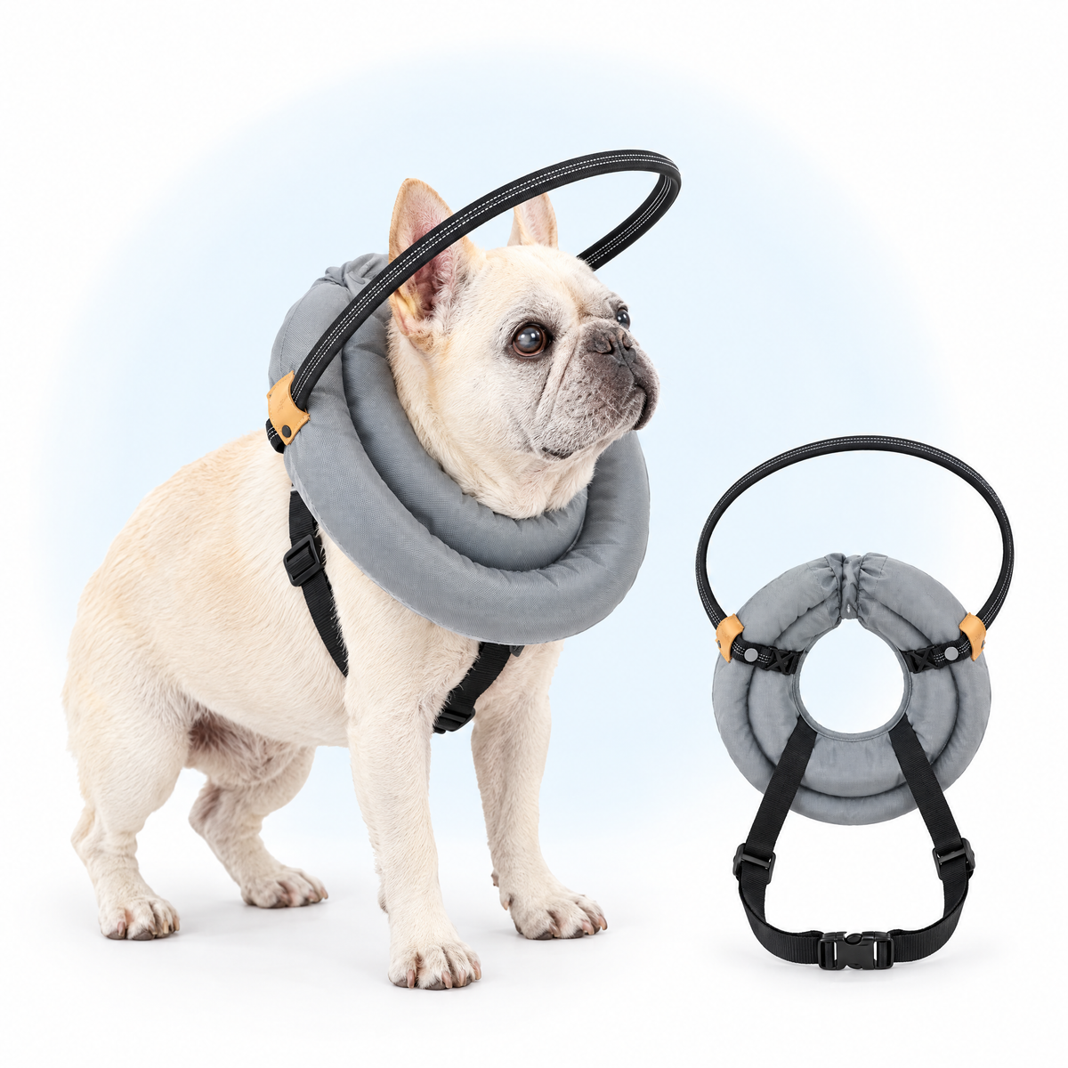 Collar Halo DogCare puesto en un perro
