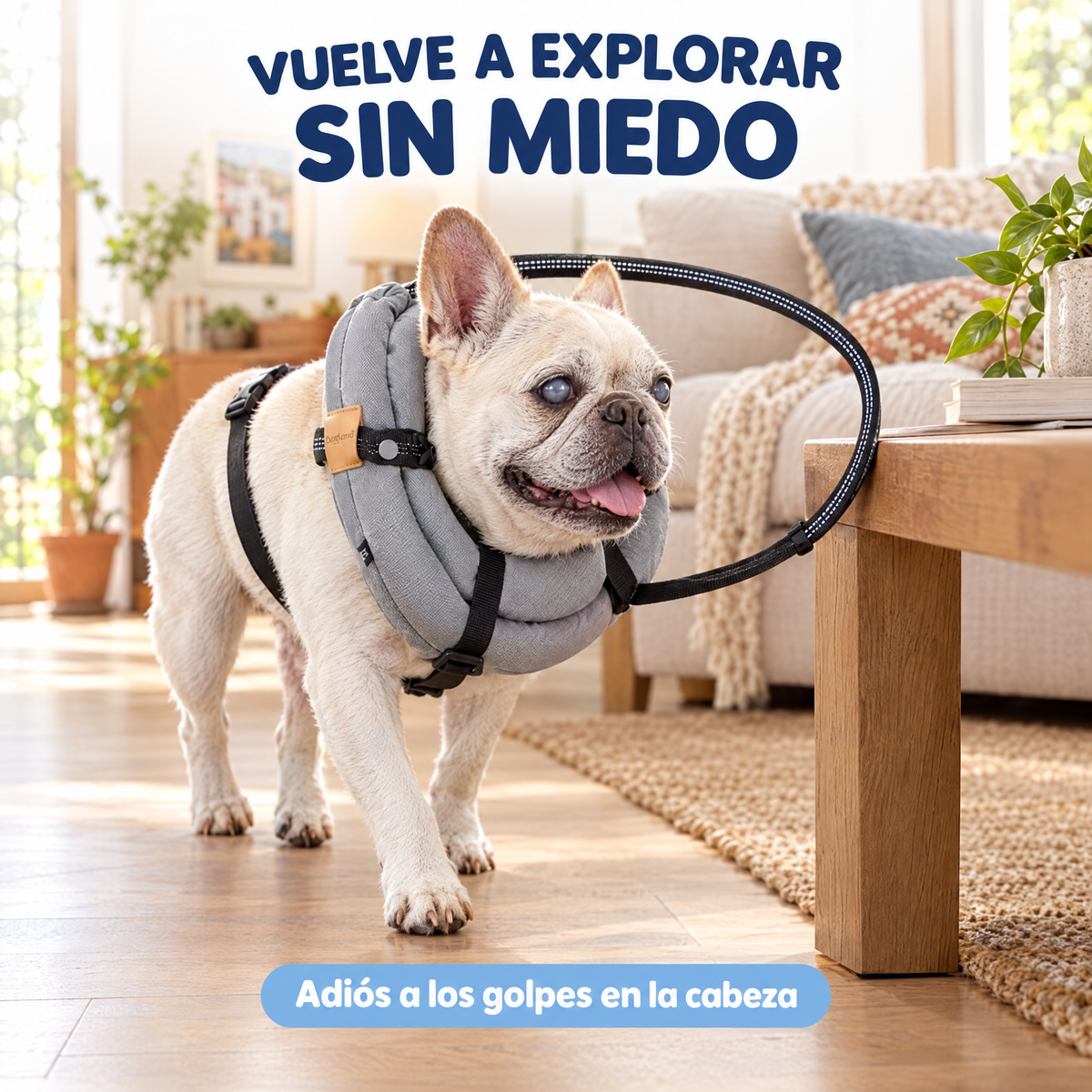 Vuelve a explorar sin miedo