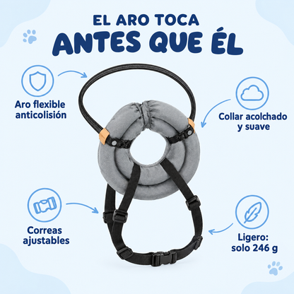 El aro toca antes que él: características