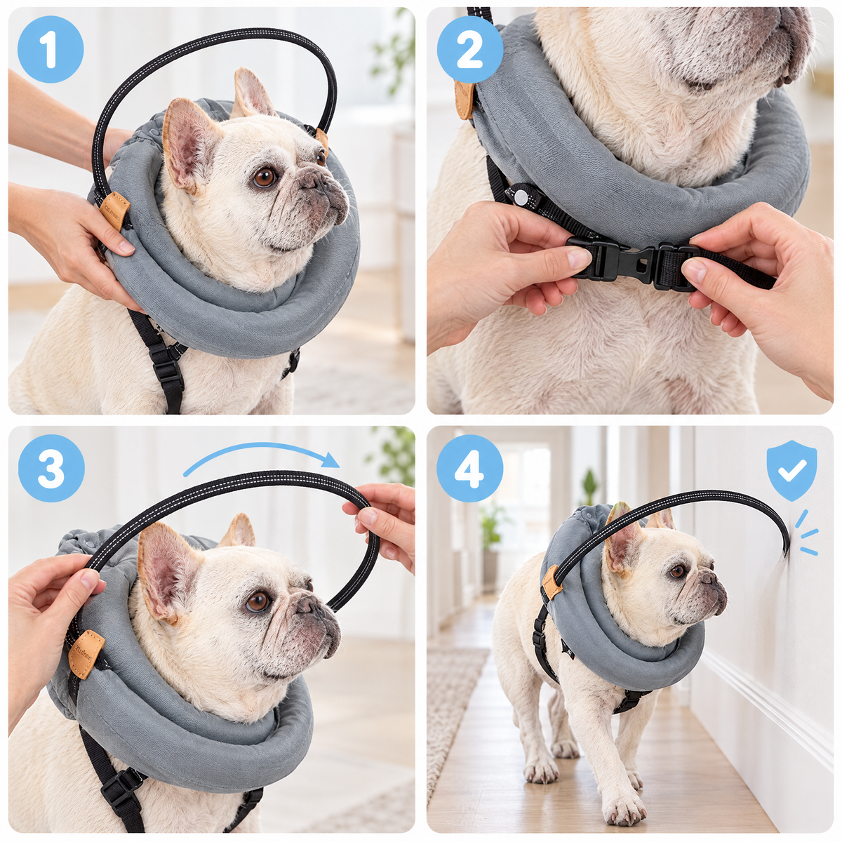 Cómo se pone el collar Halo en 4 pasos